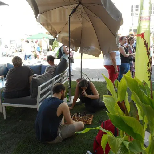 Stadtoase 2016 - Bild 12